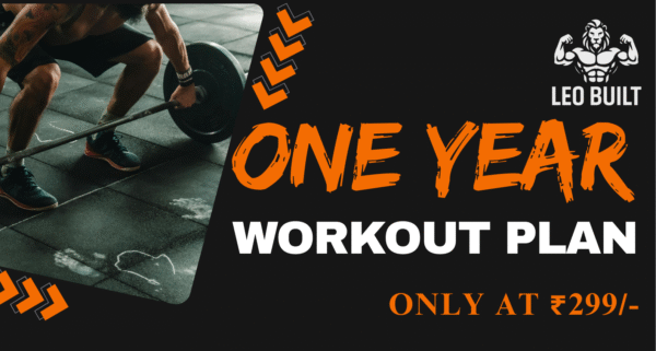 One Year Workout Plan